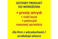 Gotowy produkt do wdrożenia – prosty wtrysk, duży potencjał sprzedaży - zdjęcie