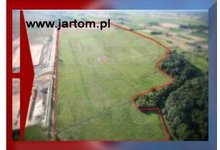 Grunt inwestycyjny 70 ha. w Błoniu - Mazowieckie - zdjęcie