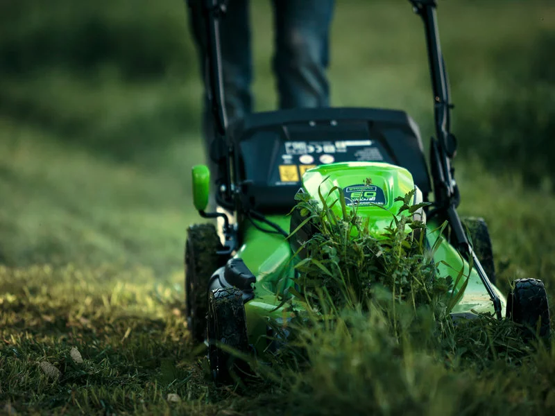 Jakiej kosiarki wymaga Twój trawnik? - zdjęcie