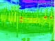 Zdalny nadzór temperatur krytycznych - innowacja w kamerach Axis - zdjęcie