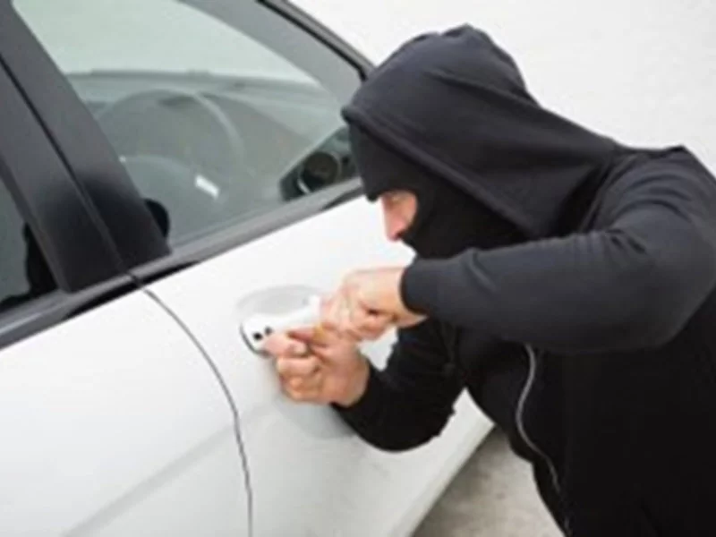 Utrudnij życie złodziejowi — radiowe namierzanie skradzionych pojazdów - zdjęcie