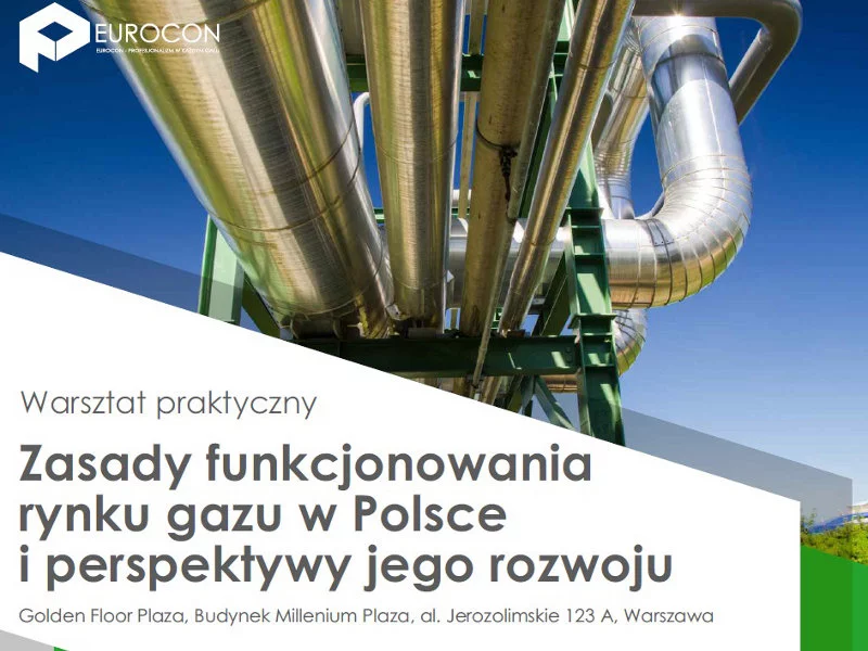 Zasady funkcjonowania rynku gazu w Polsce i perspektywy jego rozwoju - zdjęcie
