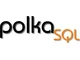 Zaktualizuj PolkaSQL do wersji 4.0 i w pełni korzystaj z nowych funkcji - zdjęcie