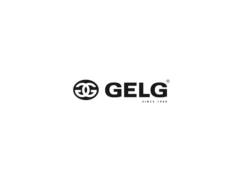 Stworzenie strategii rozwoju eksportu firmy Gelg dla wyrobów i usług dotychczas ofertowanych oraz nowych, innowacyjnych zdjęcie