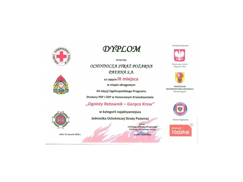 Dyplom dla OSP PAFANA S.A. zdjęcie