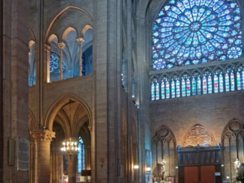 Katedra Notre-Dame w całkiem nowym świetle  - zdjęcie