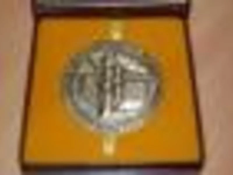 Złoty medal BUDMA 2008 - zdjęcie