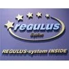 Grzejniki REGULUS-system INSIDE - zdjęcie