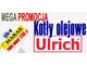 Promocja na kotły olejowe C.O. Ulrich Ederlich, Wertich - najniższa cena - zdjęcie