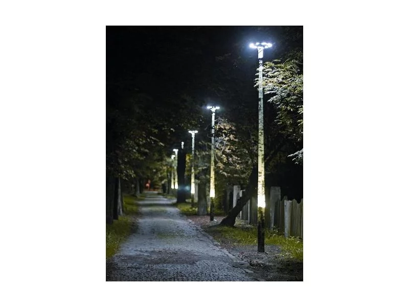 Słupy oświetleniowe imitujące drzewa zdjęcie