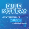 Spędź Blue Monday z Iglotech! - zdjęcie