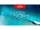 BIG BLUE Conference - wyjątkowa edycja Programu Partnerskiego Fujitsu - zdjęcie