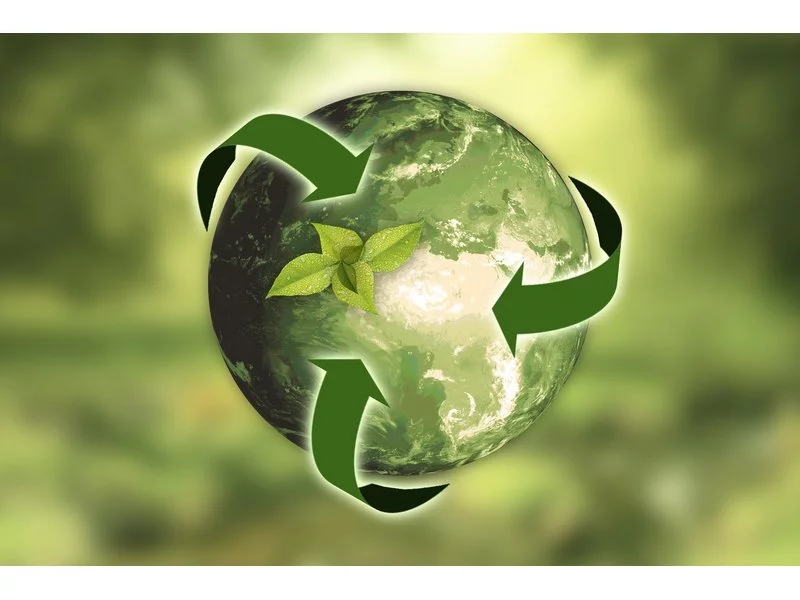 Ekologiczne opakowania w firmie &#8211; biznes przyjazny dla środowiska zdjęcie