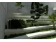 Willa Sowiniec i jej ogrody japońskie - zdjęcie