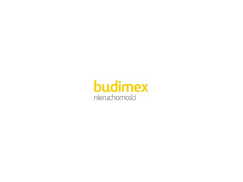 Wyniki Budimeksu w 2010 roku zdjęcie