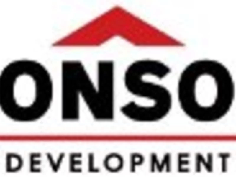 Ronson rozpocznie co najmniej 7 inwestycji w 2011 r. - zdjęcie