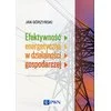 Książka: Efektywność energetyczna w działalności gospodarczej - zdjęcie