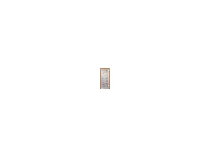 VITRIO &#8211; nowa kolekcja szklanych drzwi Stolbud Włoszczowa zdjęcie