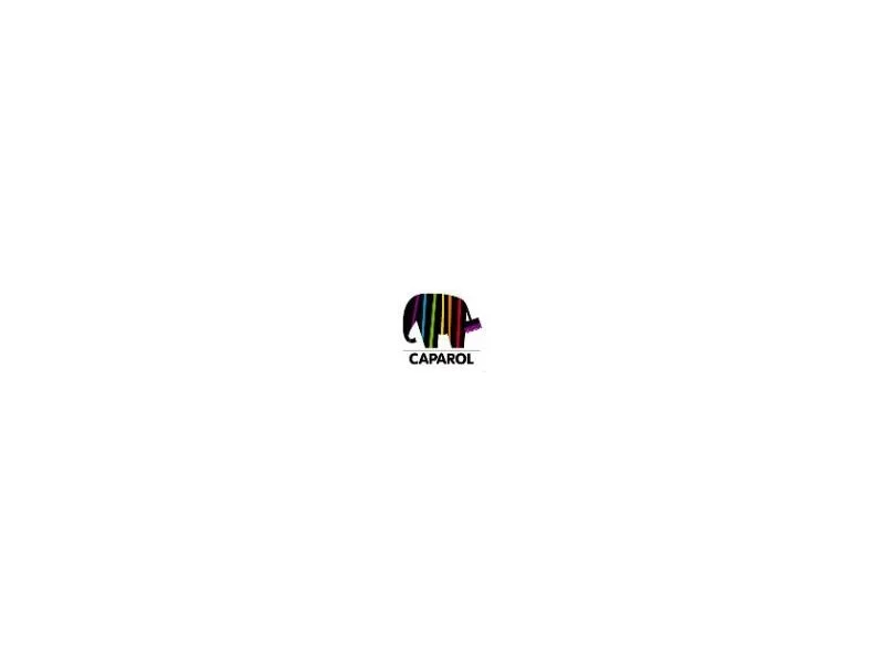 Farba elewacyjna CarboSol marki Caparol &#8211; moc dla fasad zdjęcie