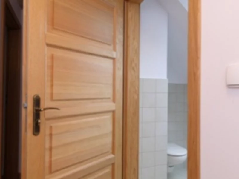 Jak wybrać odpowiednie drzwi do łazienki? - zdjęcie