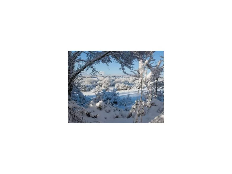 Zimowe konserwacje zdjęcie