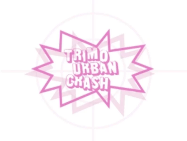 Zakończył się już czas składania aplikacji do trzeciej, międzynarodowej edycji konkursu TRIMO URBAN CRASH - zdjęcie