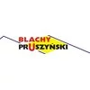 Blachy Pruszyński z Lwem Biznesu - zdjęcie