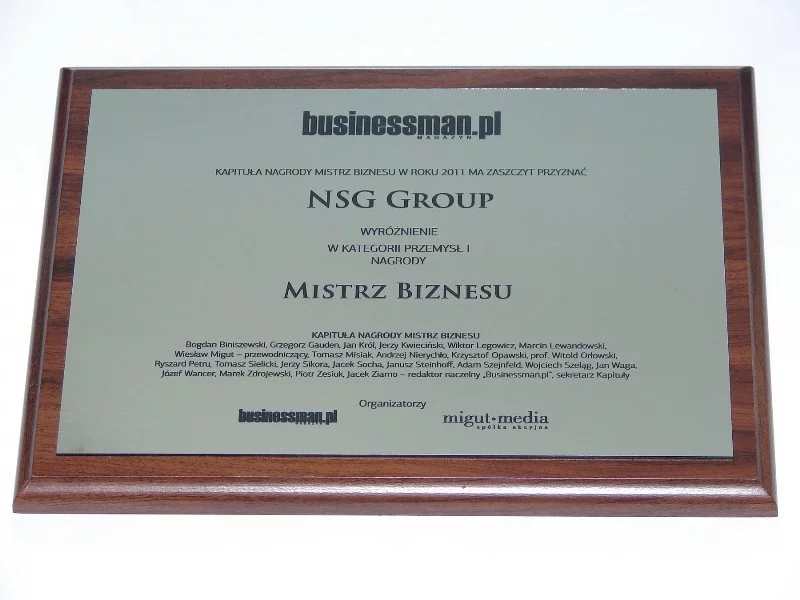 Grupa NSG wyróżniona w konkursie „Mistrz Biznesu” - zdjęcie