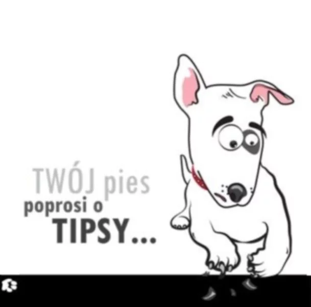 Panele podłogowe Vox – Twój pies poprosi o tipsy! - zdjęcie