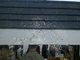Bezpieczne siatki ochronią budynki przed gołębiami - zdjęcie