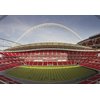 Stadion Wembley - produkty MAPEI wykorzystano do przygotowania podłoża i montażu okładzin ceramicznych. - zdjęcie
