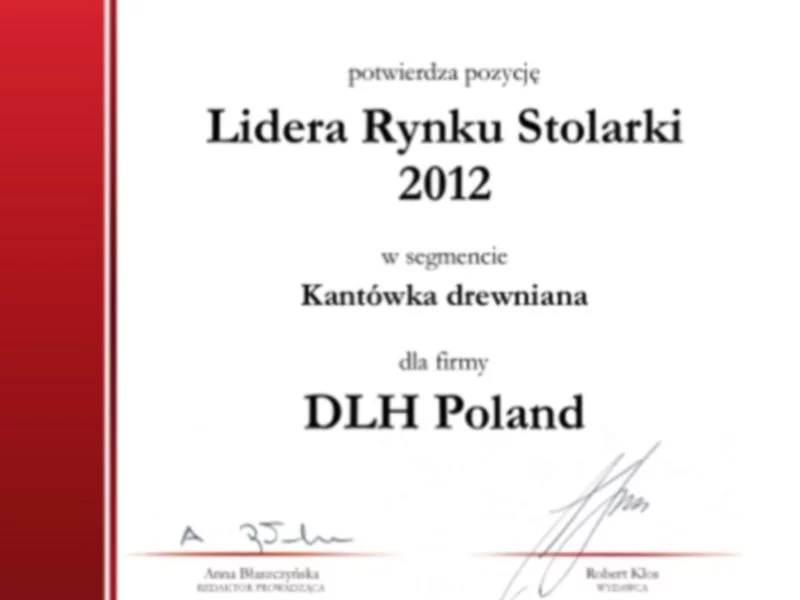 DLH Poland „Liderem Rynku Stolarki” 2012 - zdjęcie