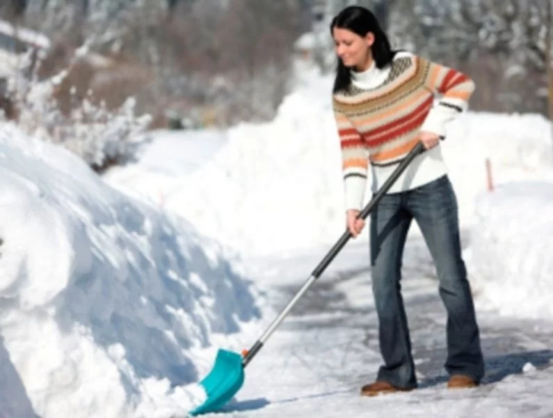 Pozbądź się zalegającego śniegu ze swojego ogrodu! - zdjęcie