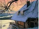 Najczęstsze zimowe usterki dachu - zdjęcie