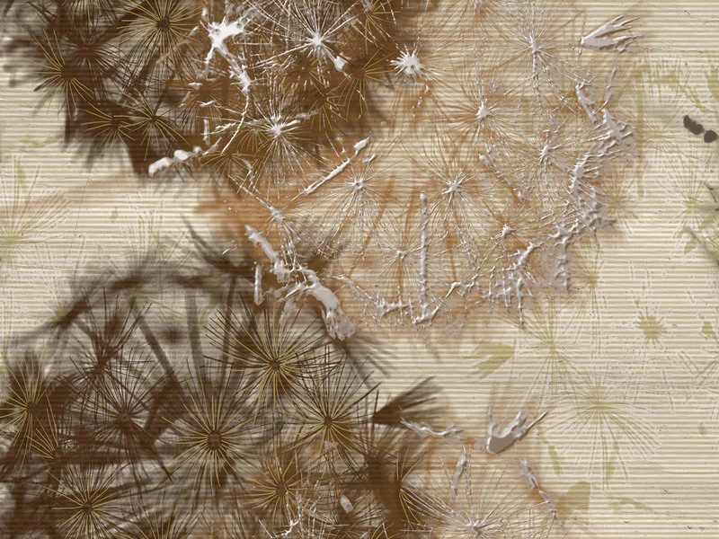 Dmuchawce, latawce i pustynny wiatr-  subtelna elegancja kolekcji Sirocco marki Ceramstic - zdjęcie