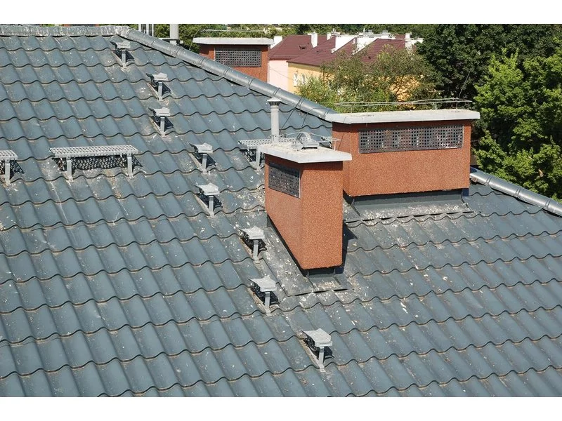 Jak ochronić dach przed ptakami? zdjęcie