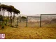 Betaview – ogrodzenie dla ochrony uczniów w RPA - zdjęcie