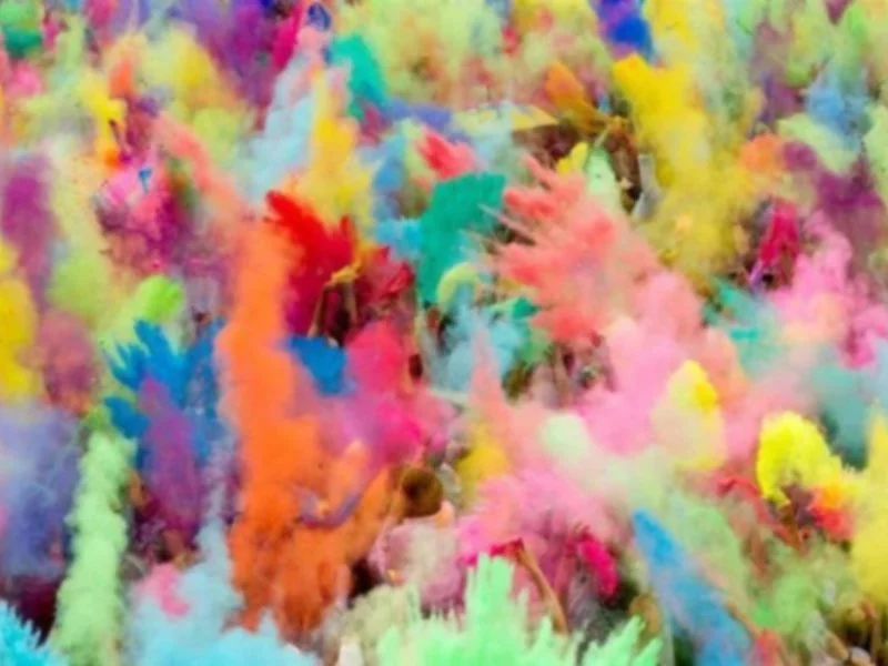 Dekoral i najbardziej kolorowe dni w historii! Marka Dekoral partnerem Festiwalu Kolorów 2014 - zdjęcie