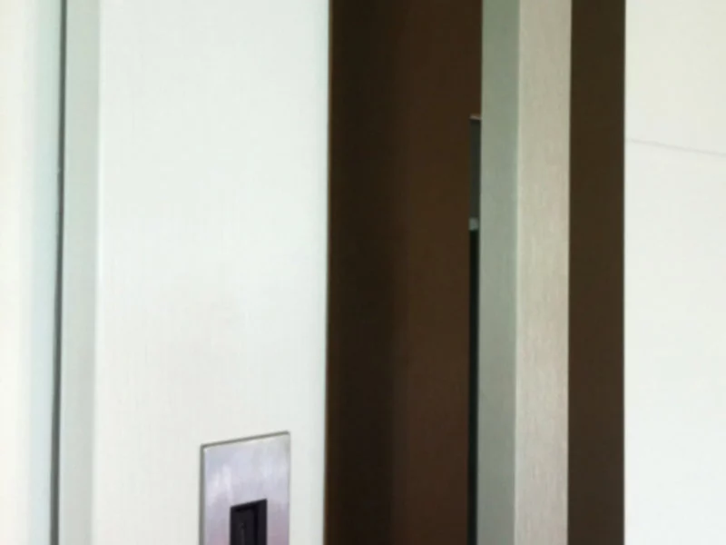 Antaba w drzwiach zewnętrznych domu - rozwiązanie dla indywidualistów - zdjęcie