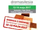 Energia z Drewna – dwudniowa konferencja na targach DREMASILESIA 2017! - zdjęcie