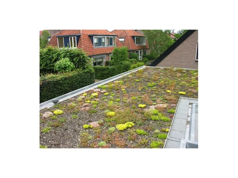 Nowe życie starego dachu - systemy lekkich zielonych dachów ekstensywnych Nophadrain zdjęcie