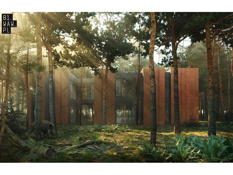 Dom jak las otoczony sosnami zdjęcie