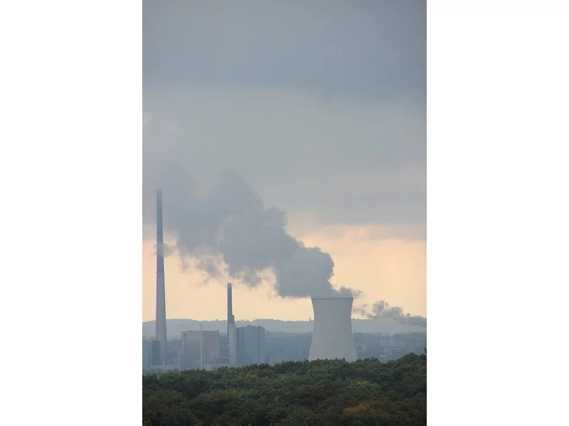 Skuteczne eliminowanie skutków zanieczyszczonego powietrza zdjęcie
