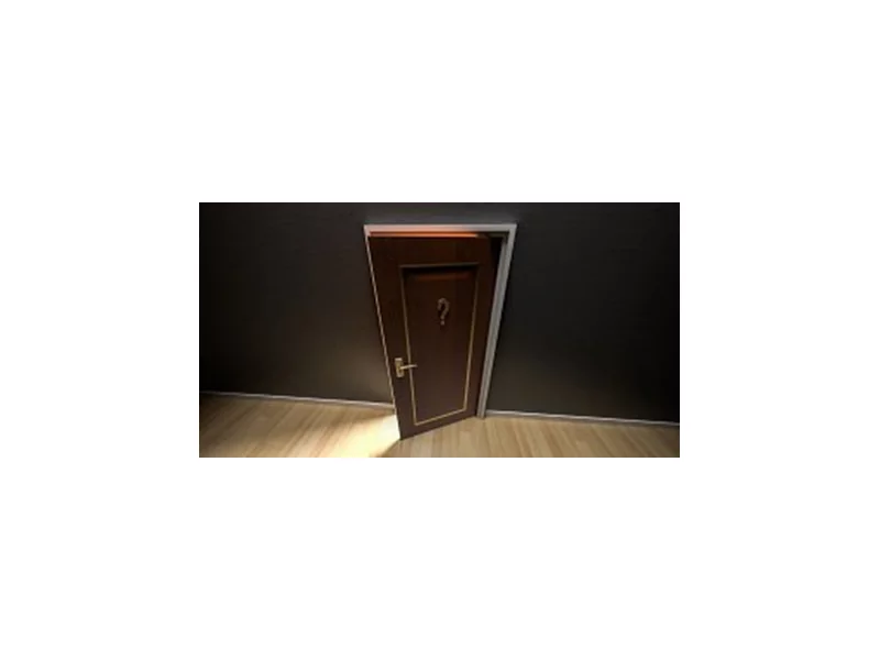 Jakie drzwi zewnętrzne do domu - drewniane czy metalowe? zdjęcie