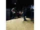 Panele laminowane Rock’n’Go marki wineo – przebojowa podłoga z rockową nutą - zdjęcie