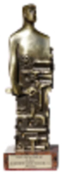 Pompa ciepła Caliane nagrodzona statuetką Złotego Instalatora 2013 - zdjęcie