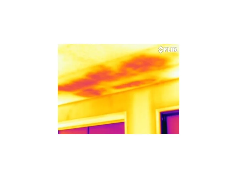 iBros Kamery termowizyjne jako urządzenia do detekcji wilgoci zdjęcie