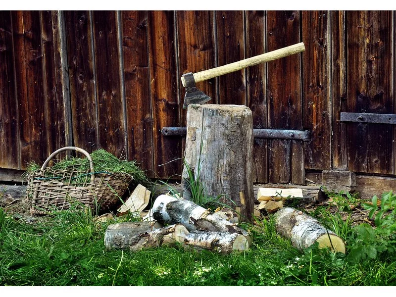 Brykiet drzewny, biomasa czy piecyk gazowy? &#8211; sposoby na ekologiczne ogrzewanie zdjęcie