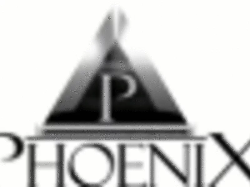 Sklep internetowy - PHOENIX systemy kominowe - zdjęcie