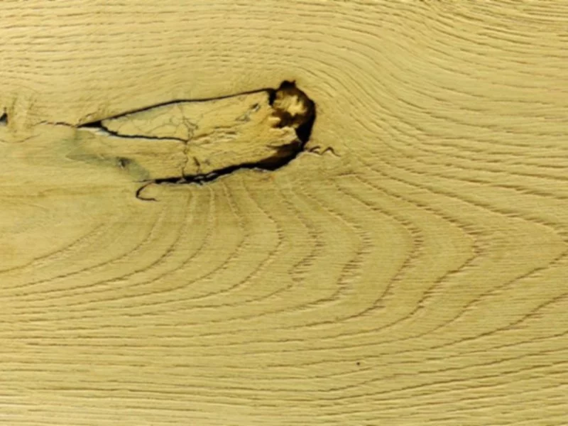 Prawdziwe drewno w Twoim salonie - zdjęcie